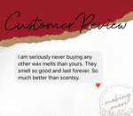 Load image into Gallery viewer, FESTIVE AS FUCK Wax Melt- Cranberry Apple Marmalade
